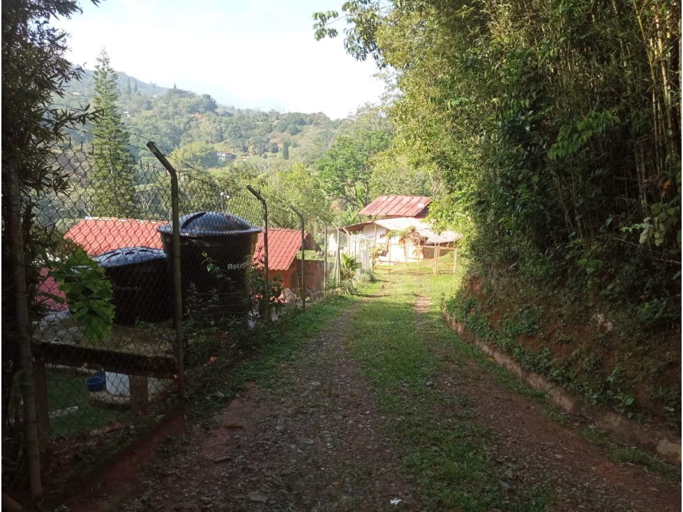 Finca en venta - Vereda La M, Santo Domingo, Antioquia - 3