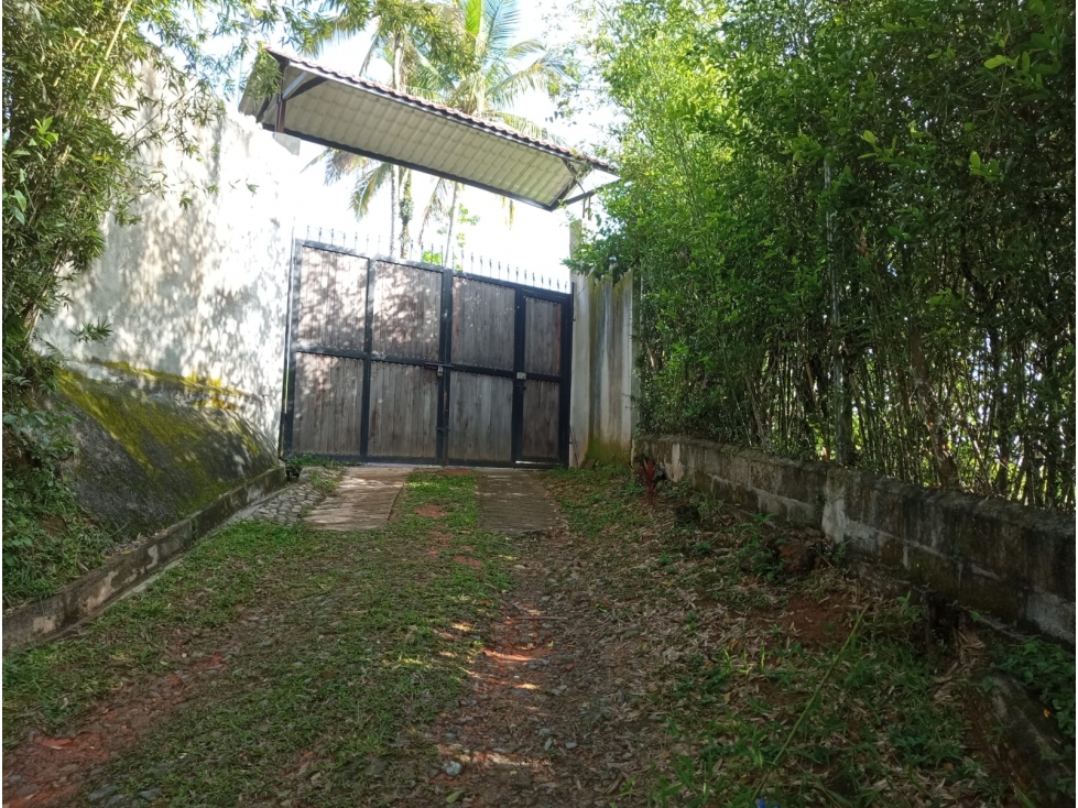 Finca en venta - Vereda La M, Santo Domingo, Antioquia - 2