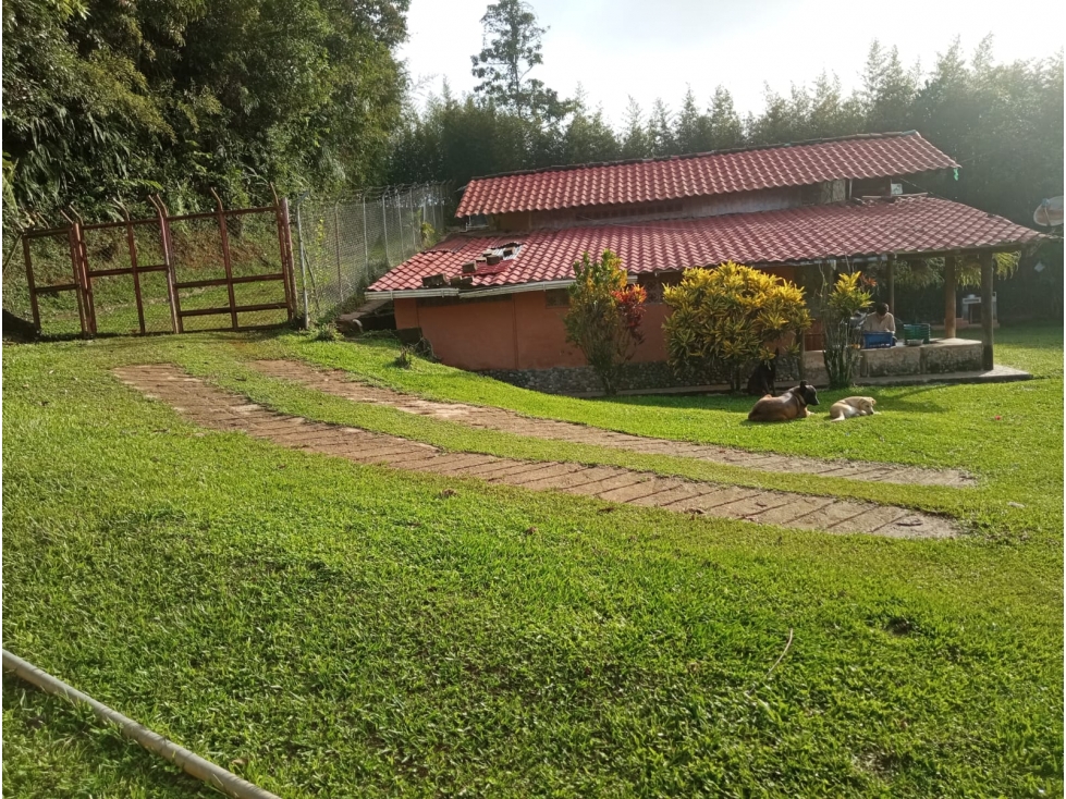 Finca en venta - Vereda La M, Santo Domingo, Antioquia - 4