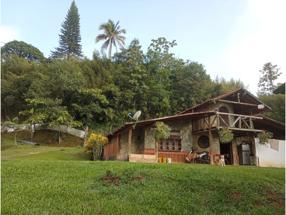 Finca en venta - Vereda La M, Santo Domingo, Antioquia - 1