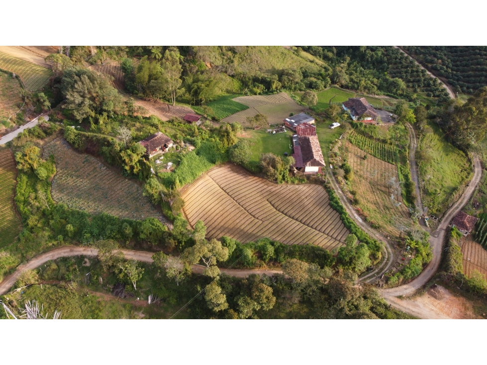 Lotes en proindiviso en el Santuario, sector la Primavera — foto 2