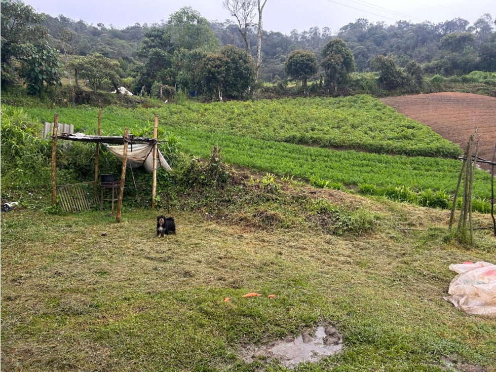 Finca, Vereda Morritos, El Santuario - 4