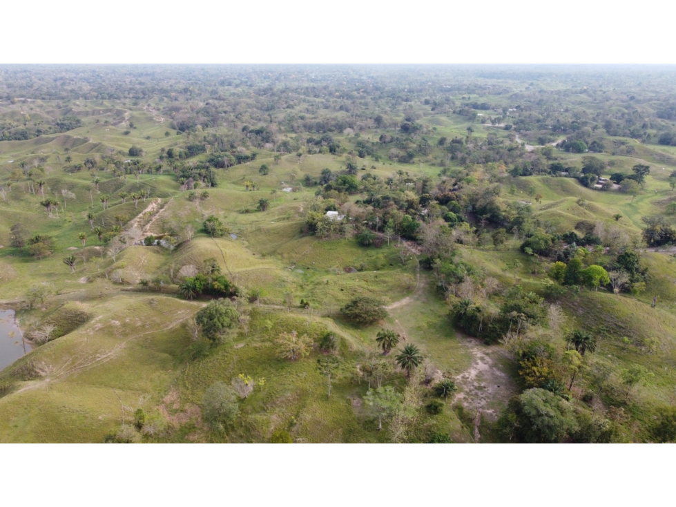 Lote en Puerto Boyaca - 4