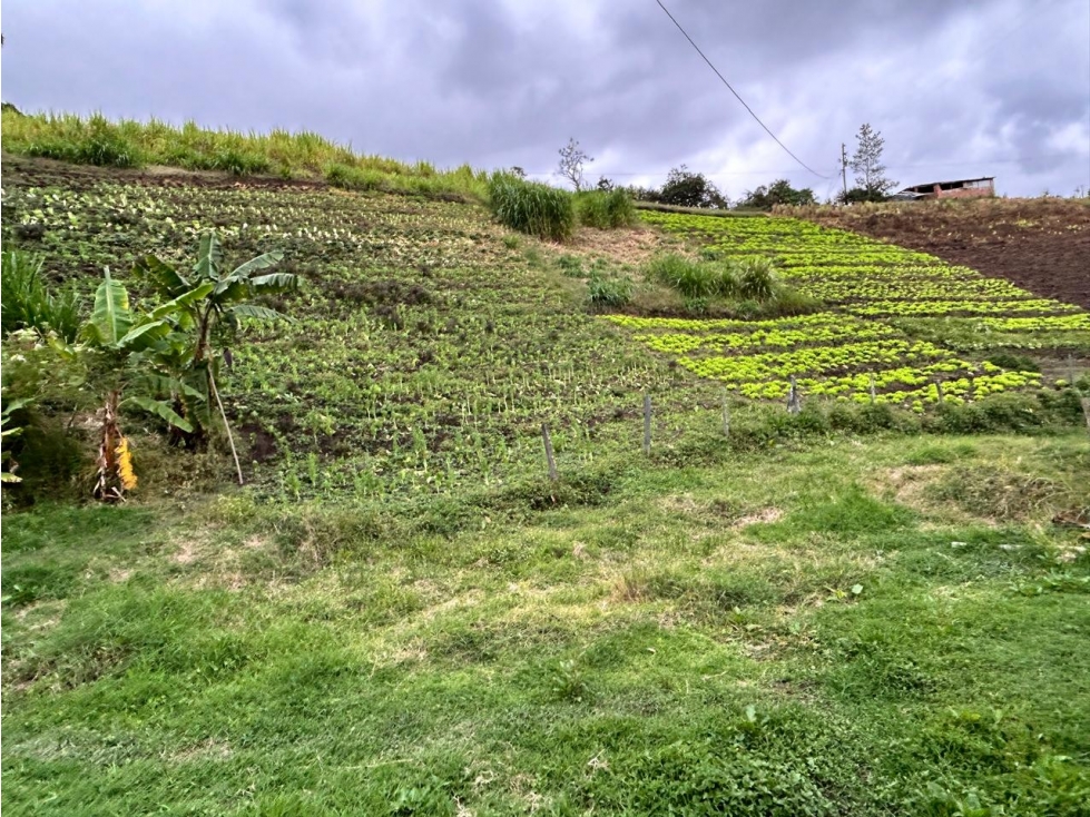 Lote, Vereda Aldana Abajo, El Santuario — foto 4