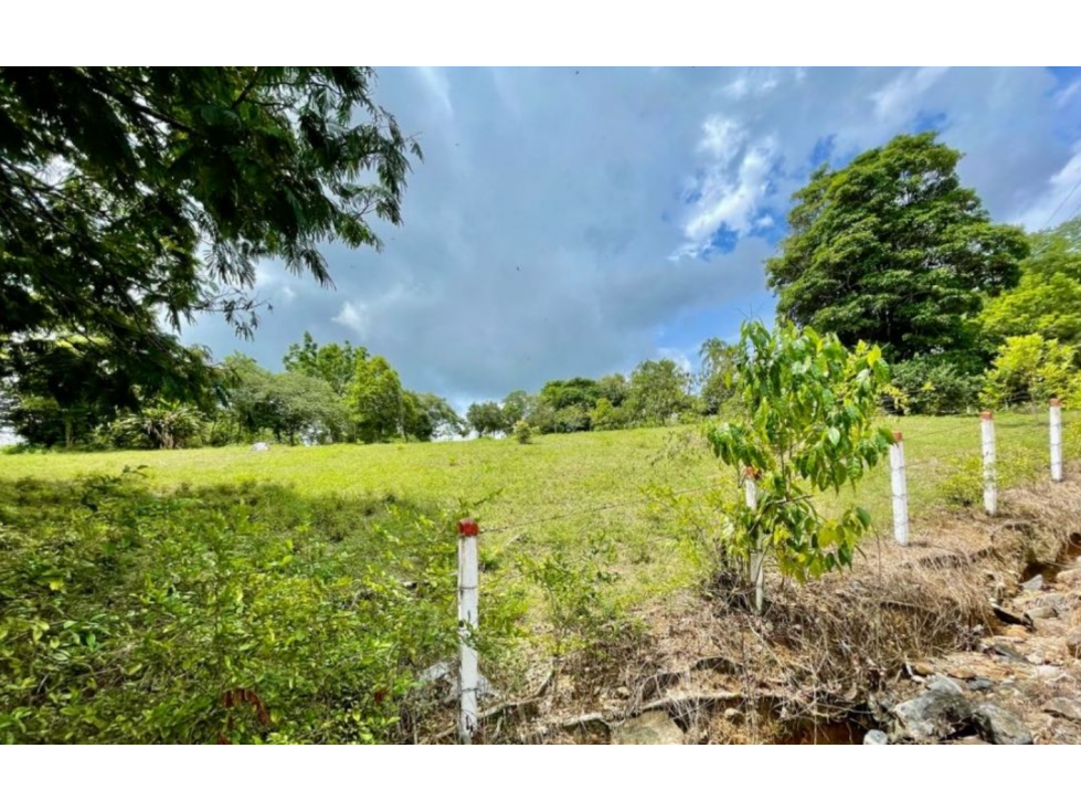 Lote en Sonson, Doradal Antioquia, parcelas California - 2