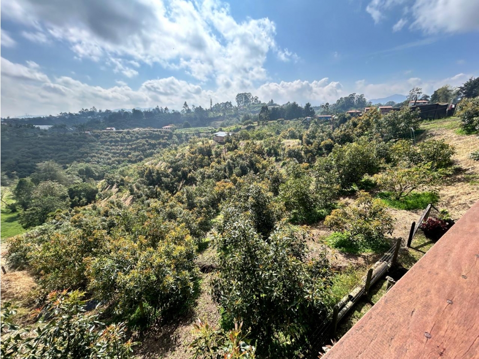 Finca con Cultivo de Aguacates, Vereda Cimarronas, Marinilla — foto 2