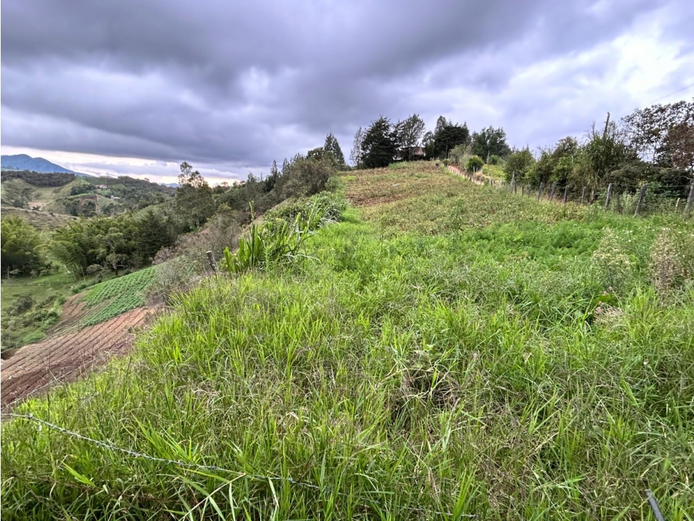 Lote en Vereda Aldana Abajo El Santuario — foto 3