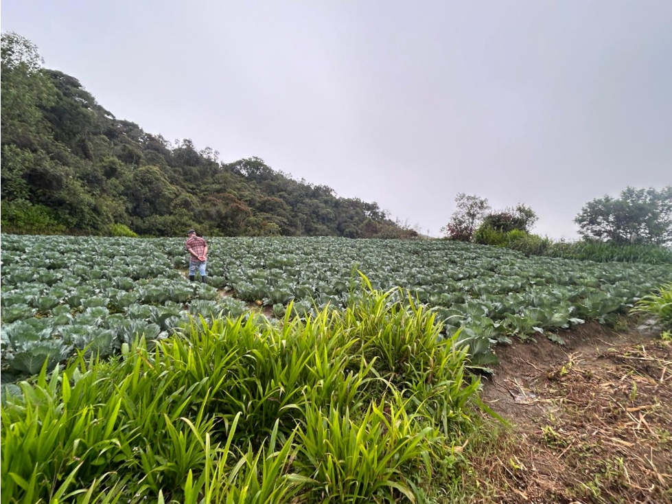 Lote en Vereda Morritos, El Santuario — foto 2