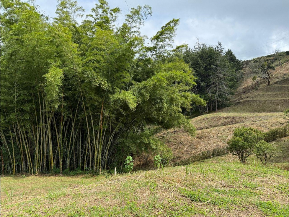 Lote en condominio, Vereda Cascajo Abajo, Marinilla — foto 3