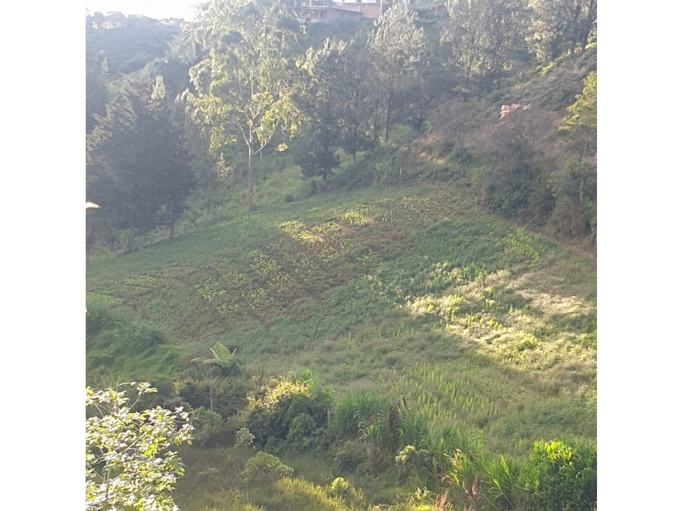 Lote, Vereda Aldana Abajo, El Santuario — foto 6