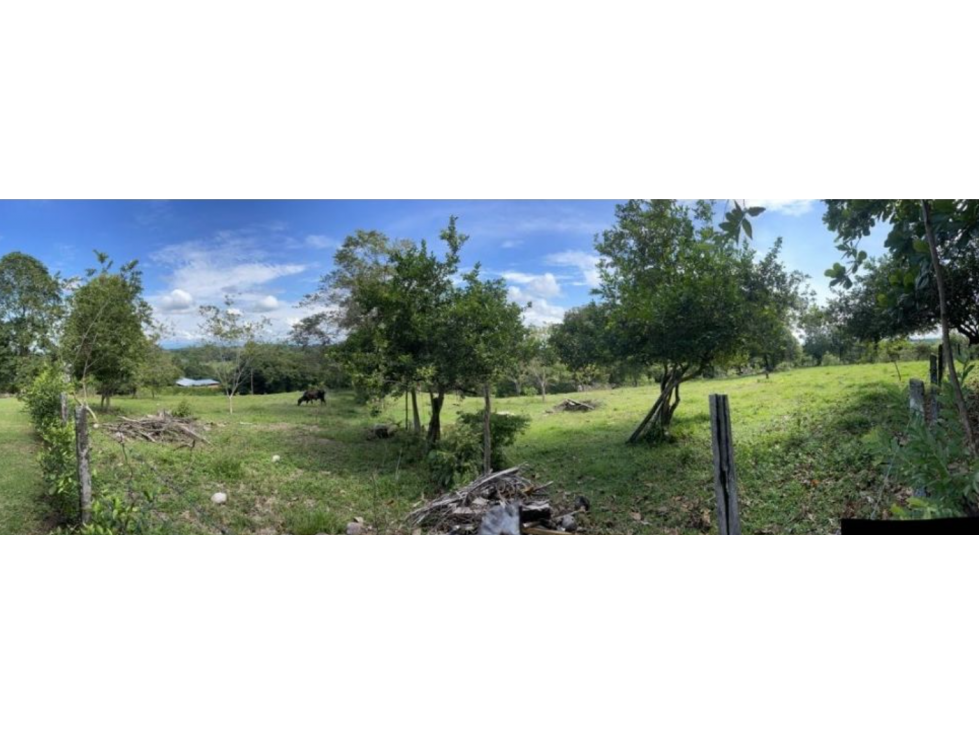 Lote en Sonson, Doradal Antioquia, parcelas California - 3