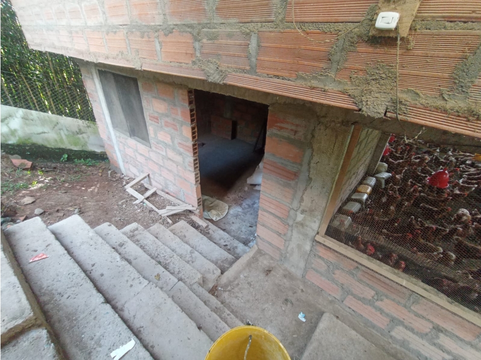 Finca en venta - Vereda La M, Santo Domingo, Antioquia - 6