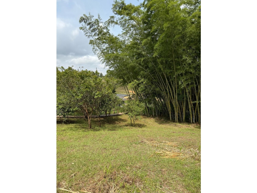 Lote en condominio, Vereda Cascajo Abajo, Marinilla — foto 4