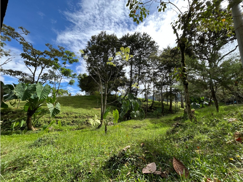 Lote en El Carmen de Viboral, Vereda El Cerro — foto 4