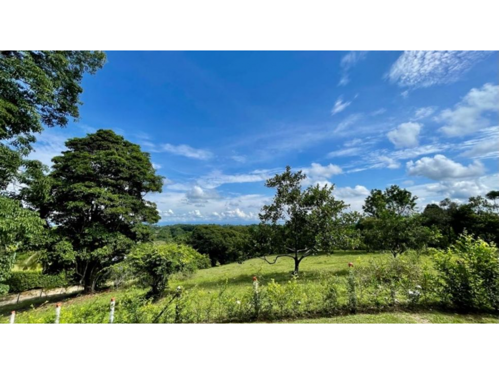 Lote en Sonson, Doradal Antioquia, parcelas California - 4