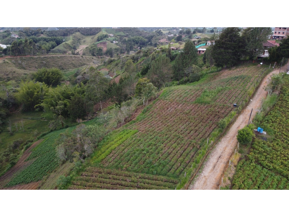 Lote en Vereda Aldana Abajo El Santuario — foto 5