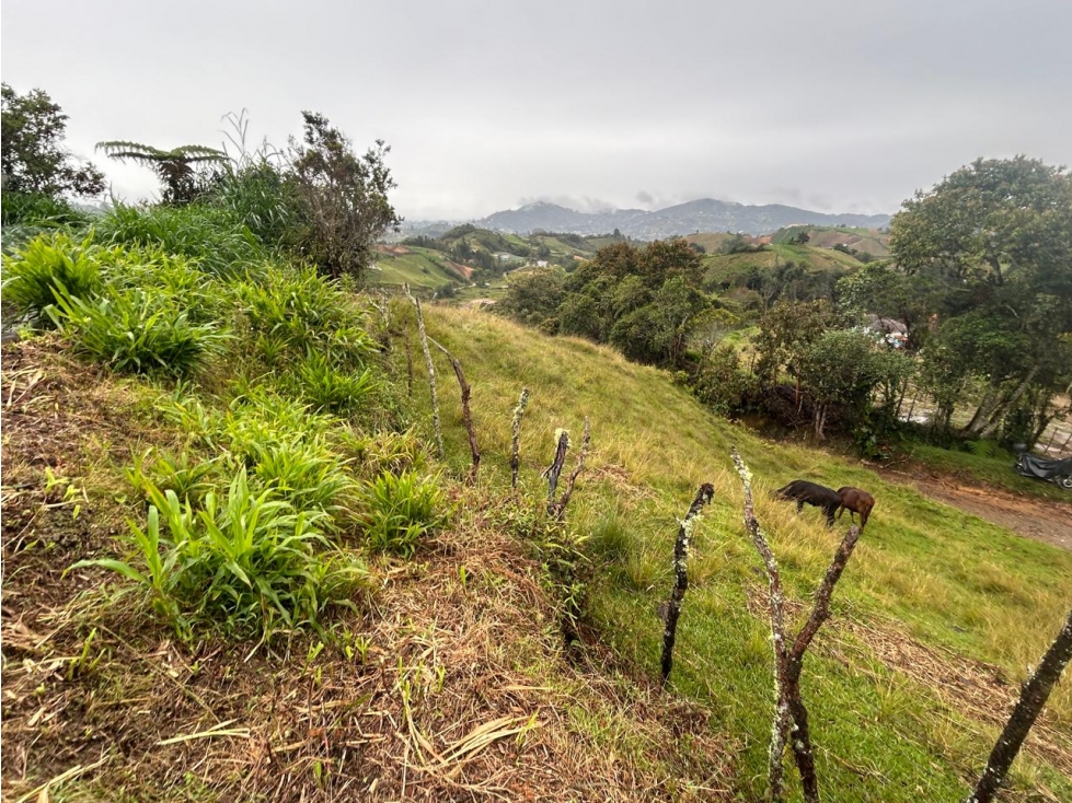 Lote en Vereda Morritos, El Santuario — foto 4