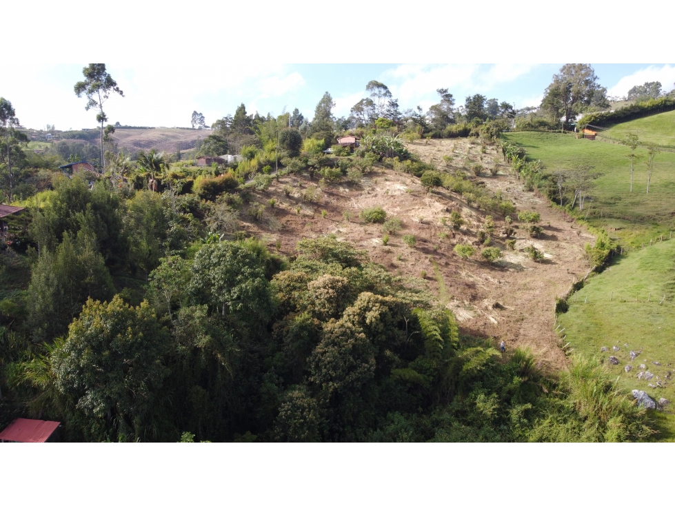 Lote campestre con vivienda, vereda La Milagrosa, Marinilla — foto 4