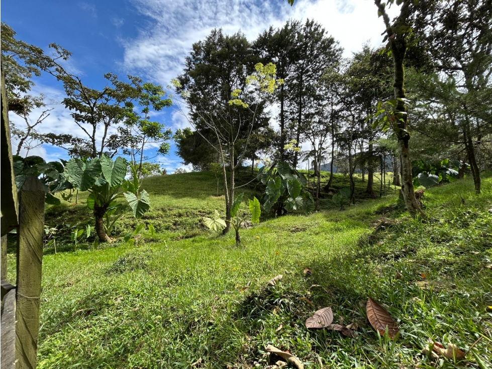 Lote en El Carmen de Viboral, Vereda El Cerro — foto 5
