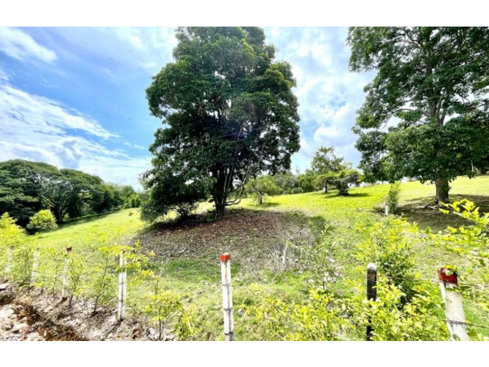 Lote en Sonson, Doradal Antioquia, parcelas California - 5
