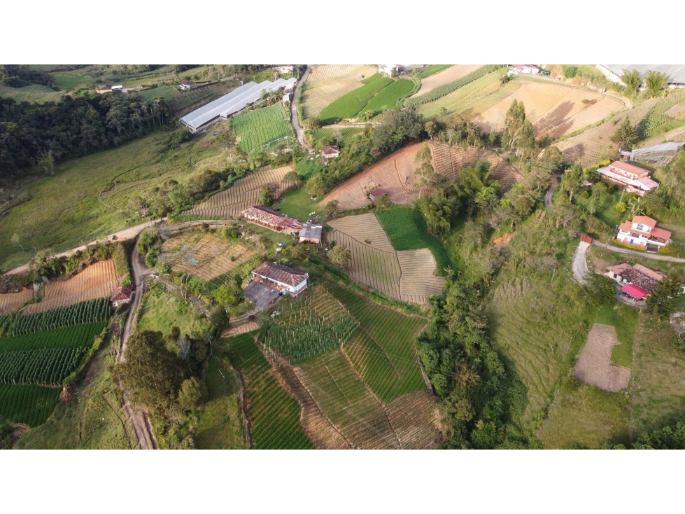 Lotes en proindiviso en el Santuario, sector la Primavera — foto 6