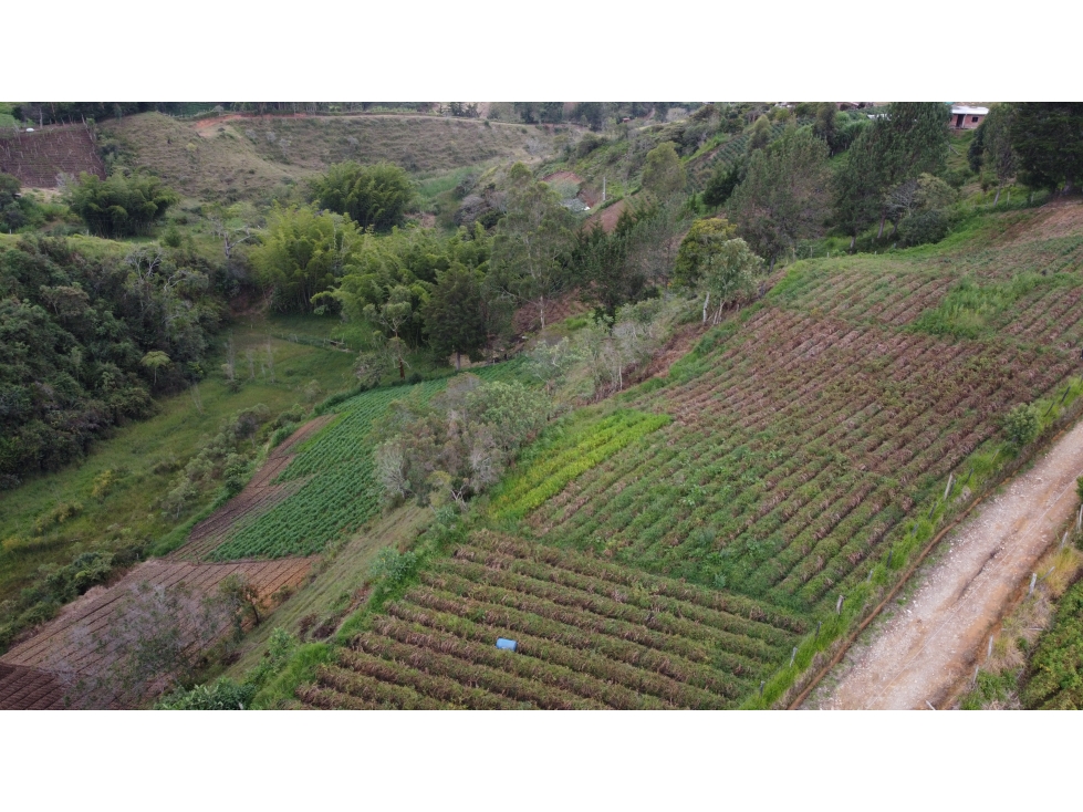 Lote en Vereda Aldana Abajo El Santuario — foto 6