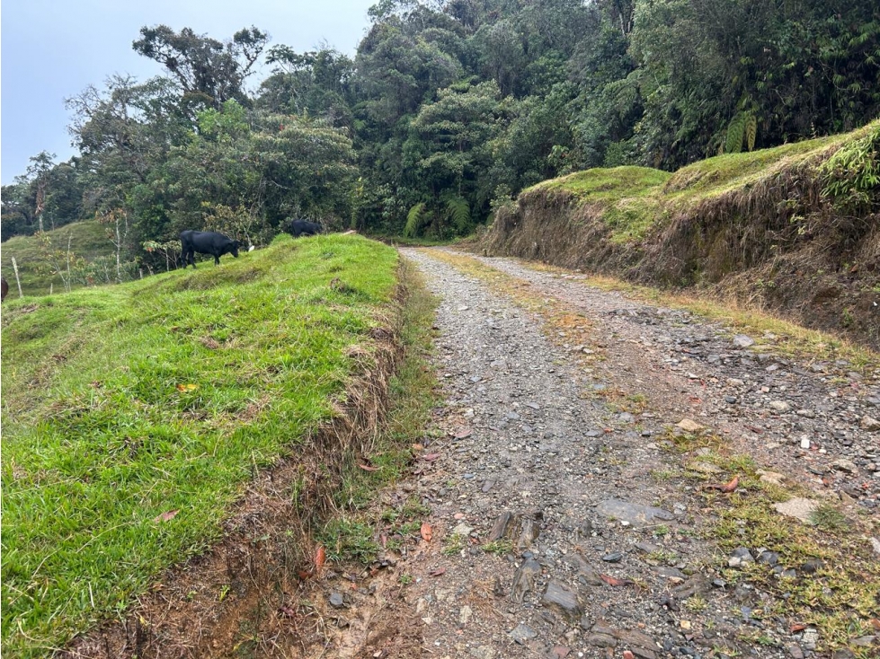 Lote en Vereda Morritos, El Santuario — foto 5