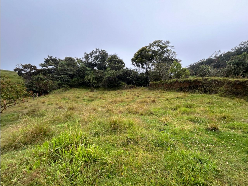 Finca, Vereda Morritos, El Santuario - 6