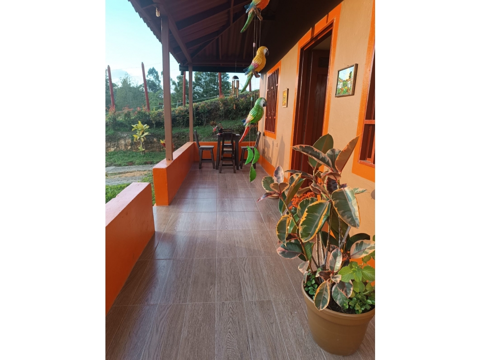 Finca, Vereda Cascajo Abajo, Marinilla — foto 2