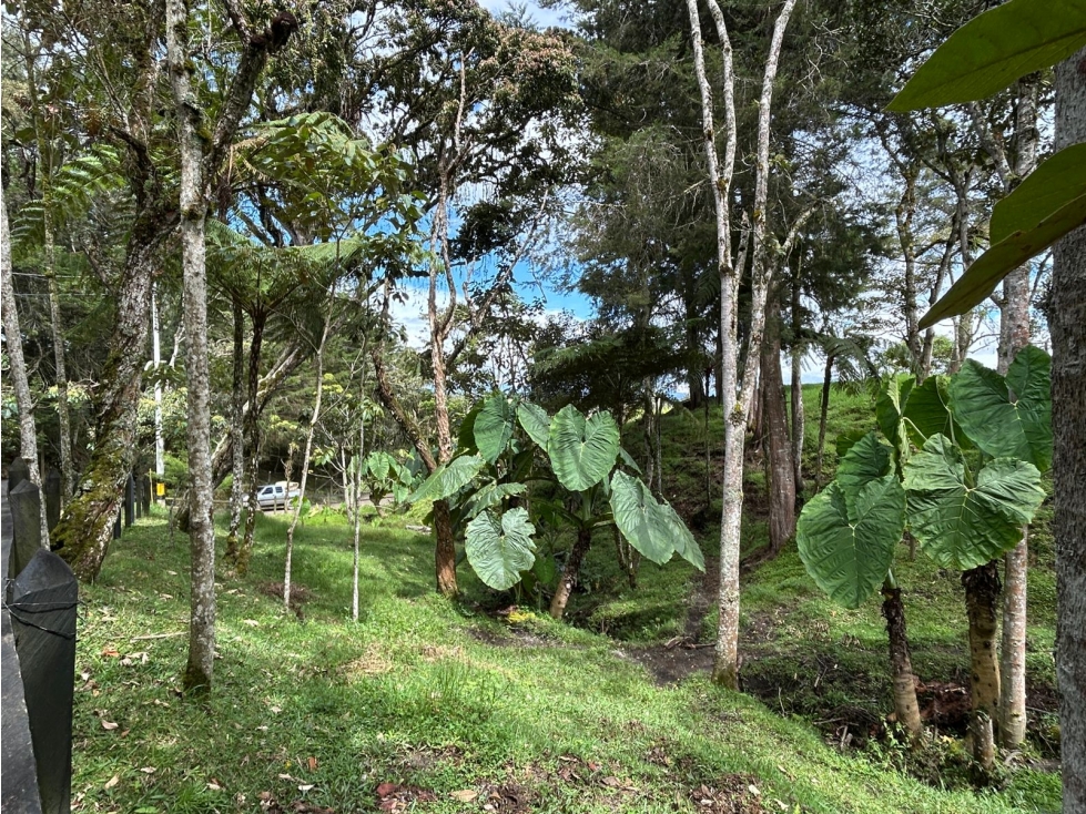 Lote en El Carmen de Viboral, Vereda El Cerro — foto 6