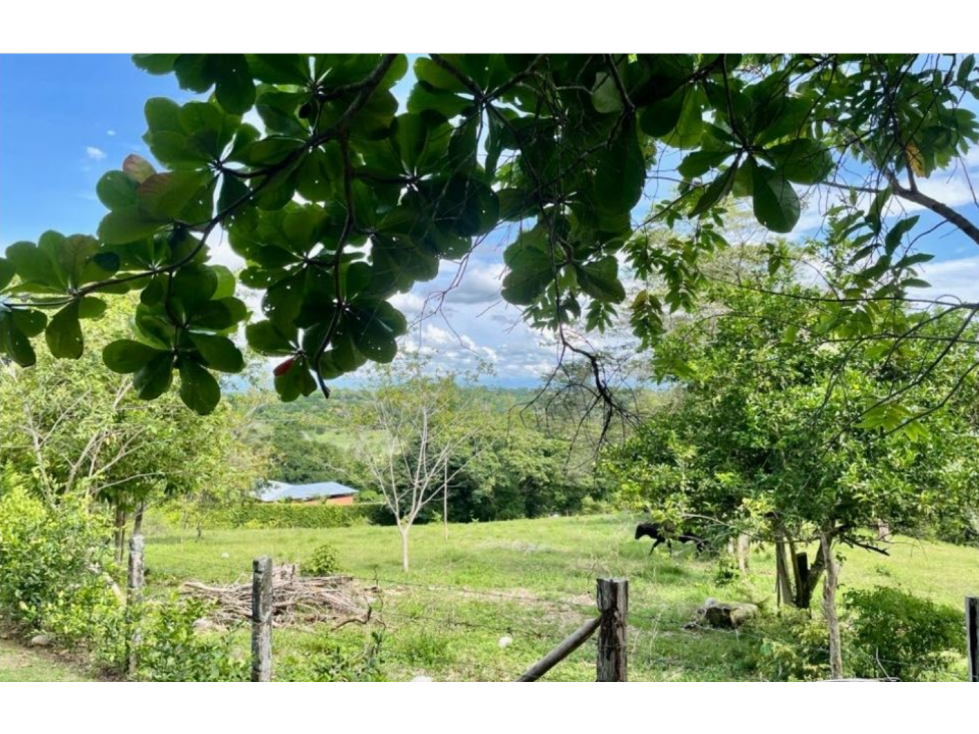 Lote en Sonson, Doradal Antioquia, parcelas California - 6
