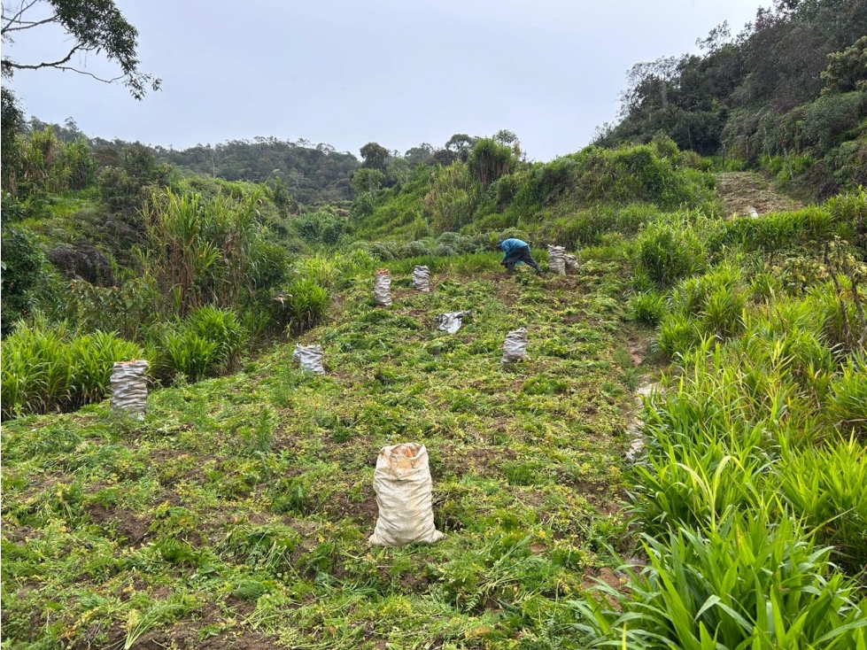 Finca, Vereda Morritos, El Santuario - 2