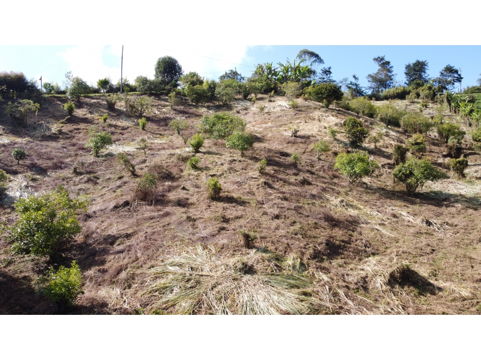 Lote campestre con vivienda, vereda La Milagrosa, Marinilla — foto 6
