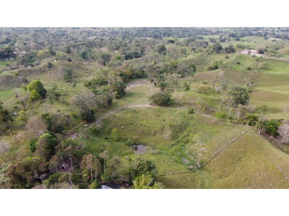 Lote en Puerto Boyaca - 6