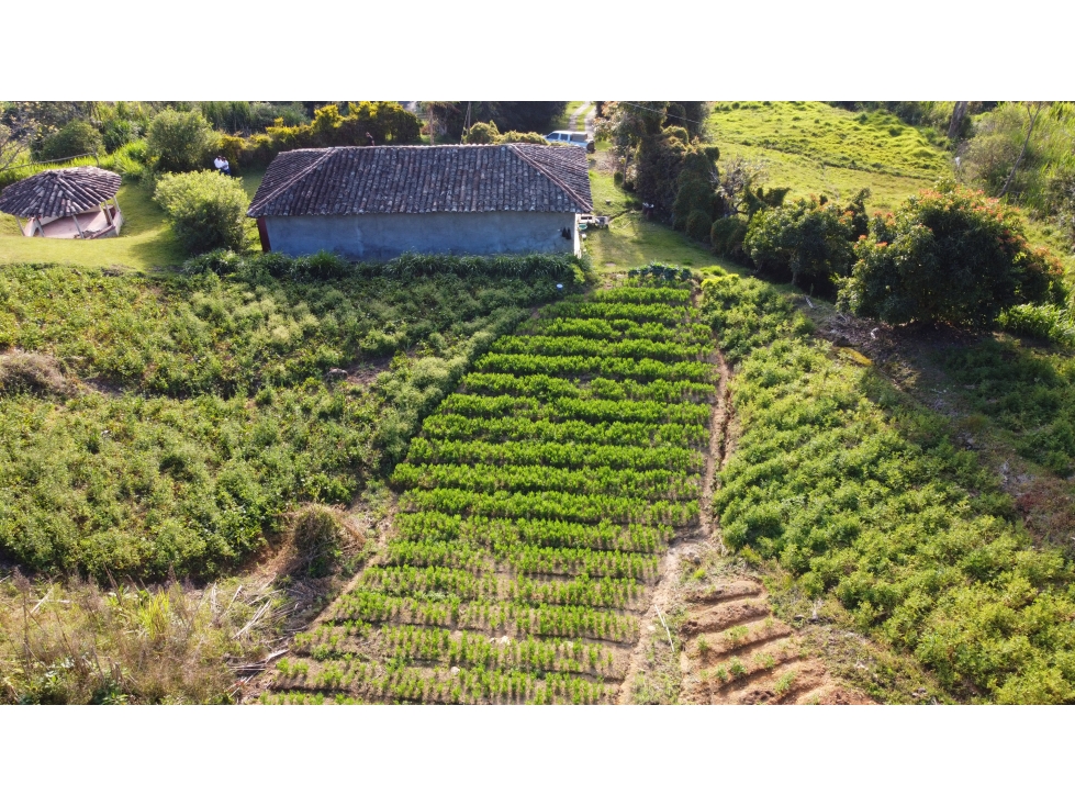 Finca Vereda Valle de María, El Santuario - 5