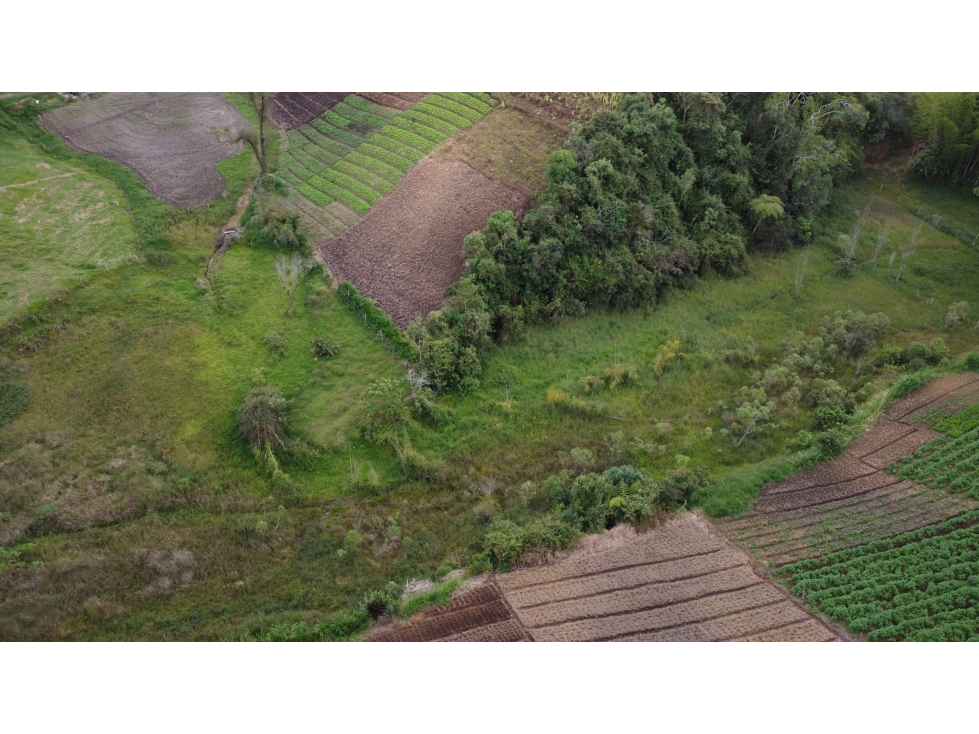 Lote, Vereda Aldana Abajo, El Santuario — foto 3