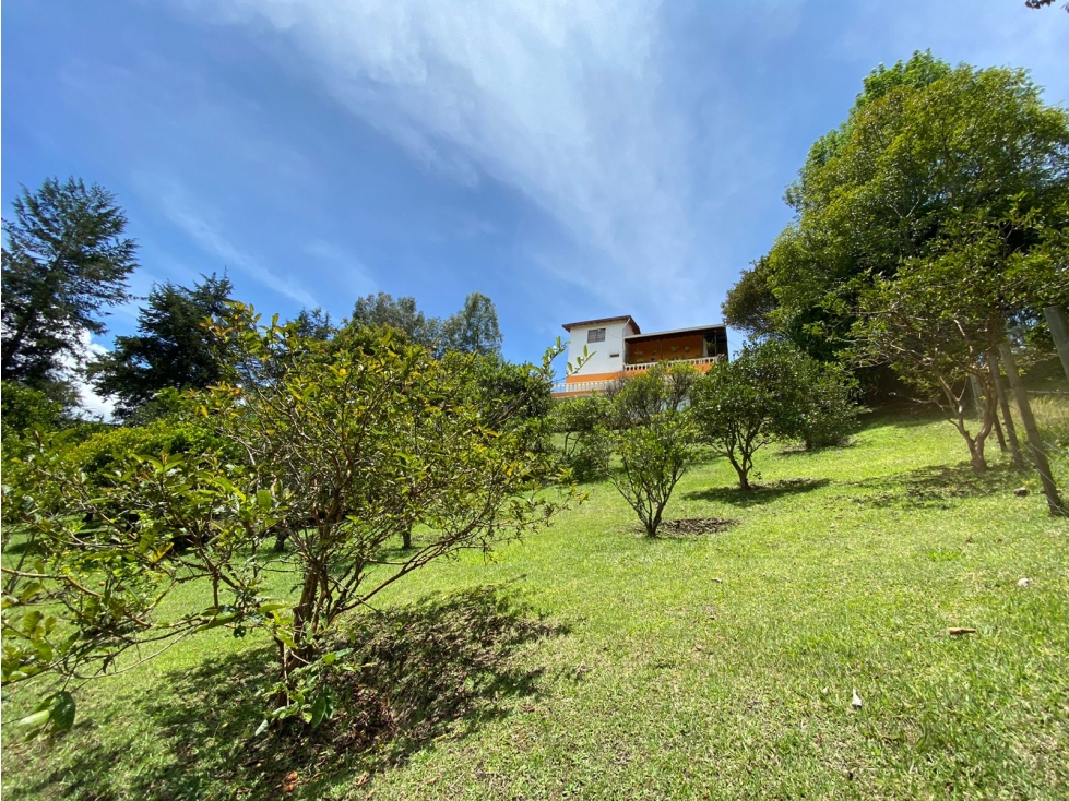 SE VENDE FINCA EN RIONEGRO ANTIOQUIA — foto 6