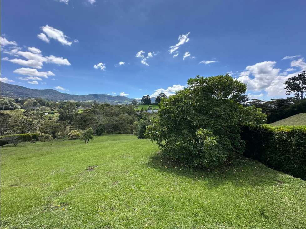 SE VENDE LOTE VIA RIONEGRO A LA CEJA