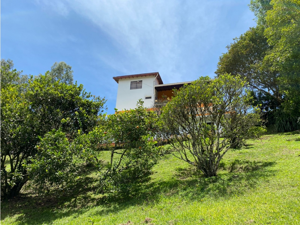 SE VENDE FINCA EN RIONEGRO ANTIOQUIA — foto 5