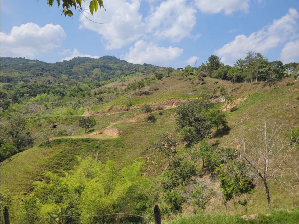 SE VENDEN LOTES EN SAN RAFAEL ANTIOQUIA - 2