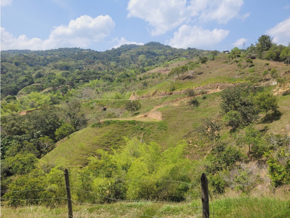SE VENDEN LOTES EN SAN RAFAEL ANTIOQUIA - 3