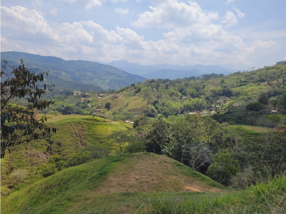 SE VENDEN LOTES EN SAN RAFAEL ANTIOQUIA - 4