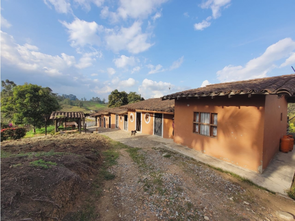 SE ARRIENDA/VENDE FINCA EN RIONEGRO — foto 5