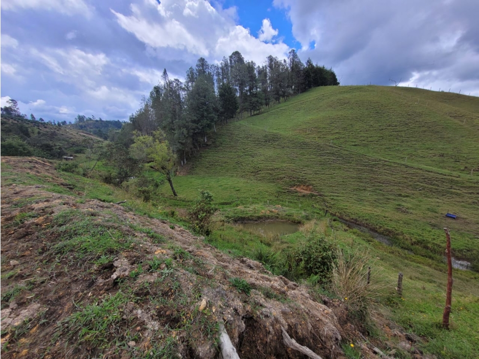 LOTES PARA VENTA VIA SAN VICENTE DE FERRER