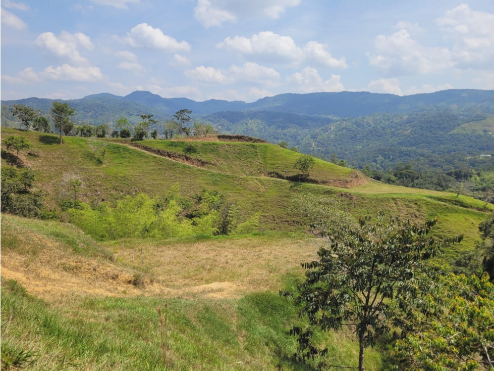SE VENDEN LOTES EN SAN RAFAEL ANTIOQUIA - 6