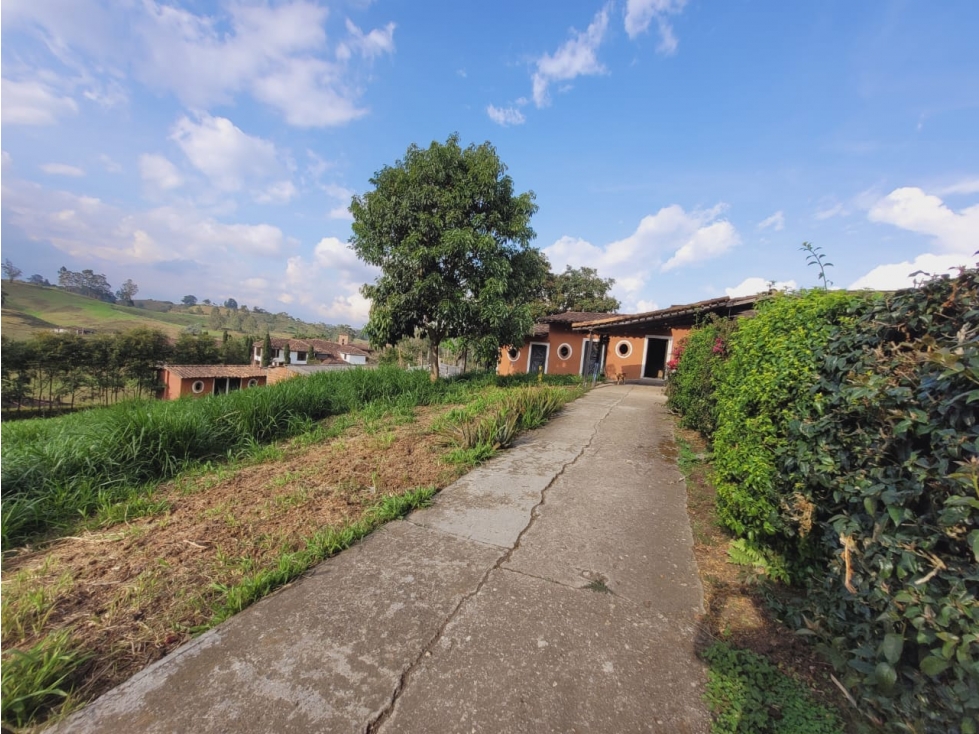 SE ARRIENDA/VENDE FINCA EN RIONEGRO — foto 6