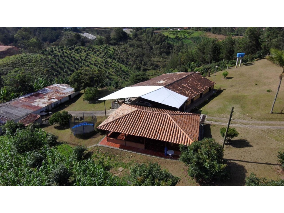 SE VENDE FINCA EN RIONEGRO ANTIOQUIA — foto 4