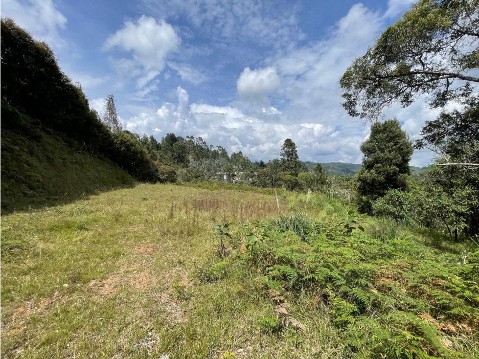 Lote de 10.000 mts en venta | Unidad exclusiva en El Escobero — foto 3