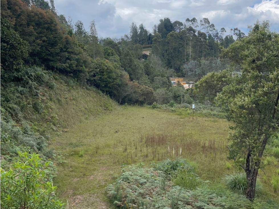 Lote de 10.000 mts en venta | Unidad exclusiva en El Escobero — foto 4