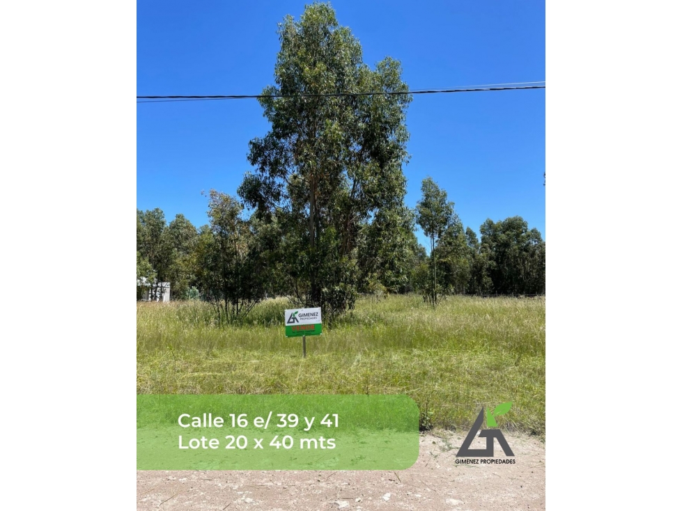 Lotes en Zona Golf Claromecó l 600m2 y 800m2 - 2